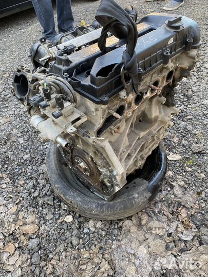 Двигатель Форд Фокус 2 л. бензин 145 сил