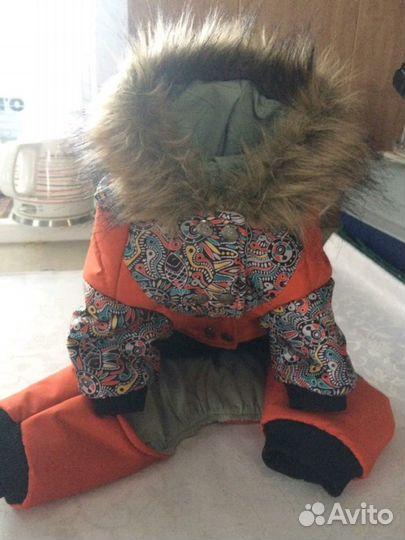 Одежда для животных