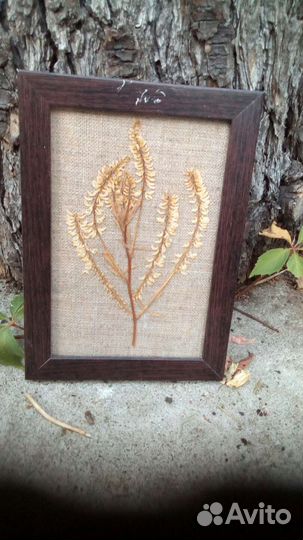 Картина из сухоцветов