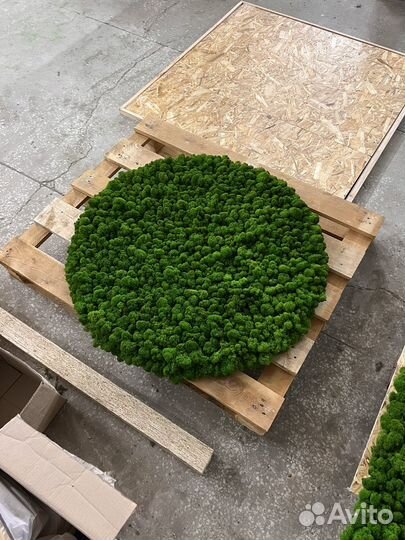 Круглое панно из мха