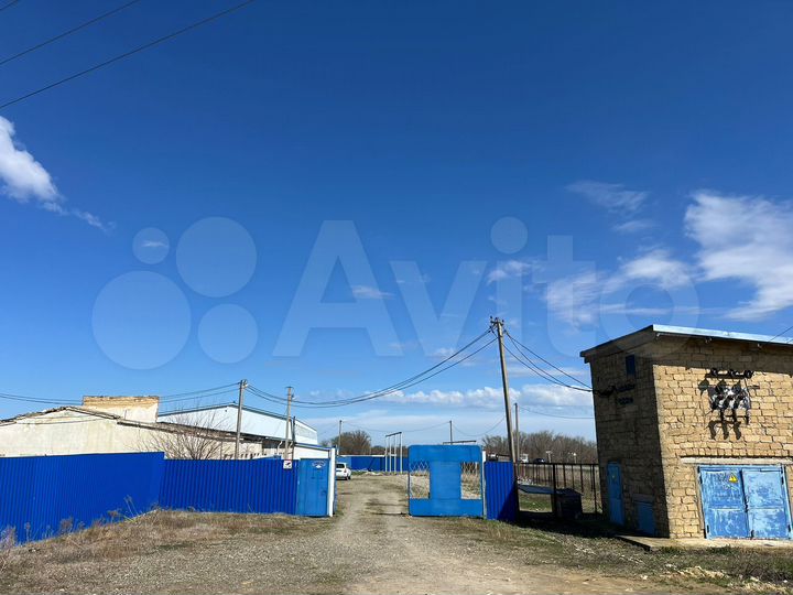 Свободного назначения, 700 м²