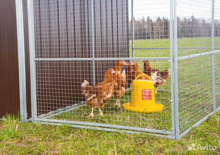 Выгул для курятника теплоисухо на 45 кур