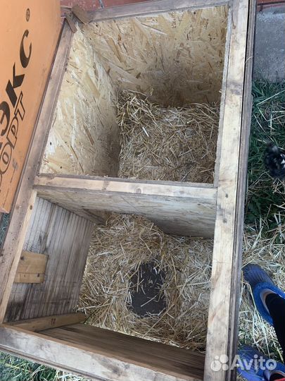 Будка для собаки утепленная бу