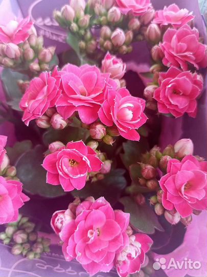 Цветы букеты в Томске и Северске