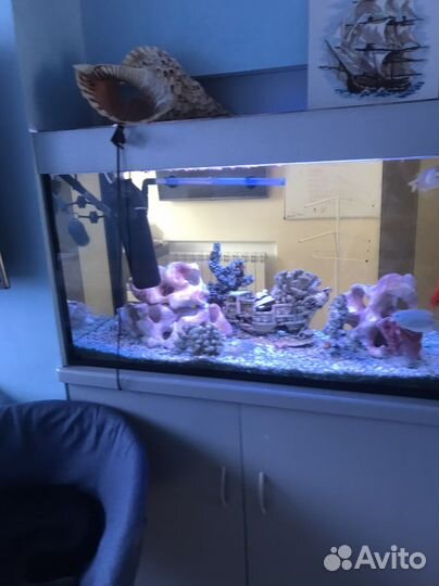Аквариум