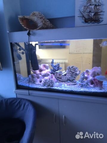Аквариум