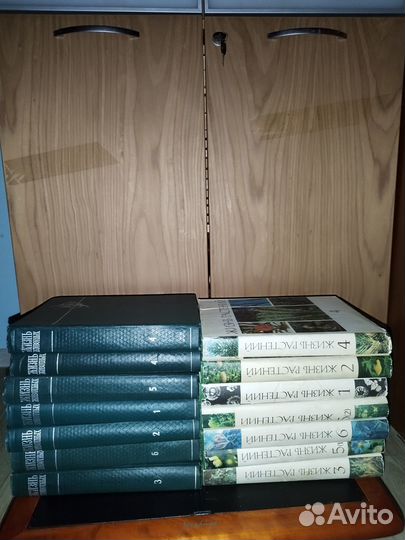 Бронте, Сервантес, Жизнь животных, растений