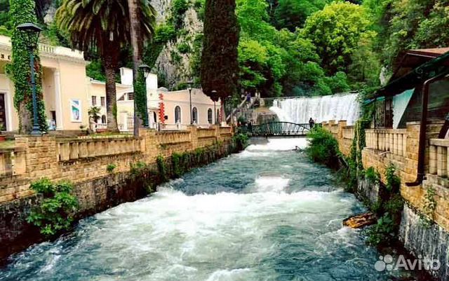 Индивидуальный тур в Абхазию / Озеро Рица