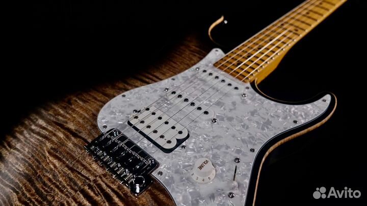 Suhr 2024 Standard Plus SSH Maple top USA в Москве