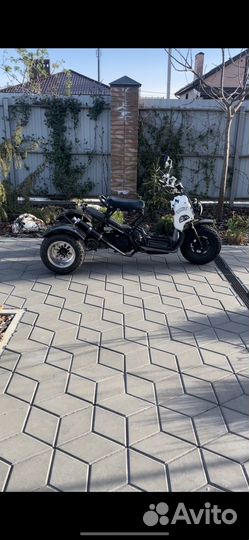 Honda zoomer trike