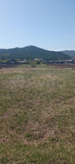 Участок 50 сот. (ИЖС)