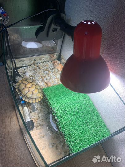 Аквариум для черепахи 15 литров