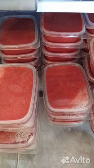 Педилантус