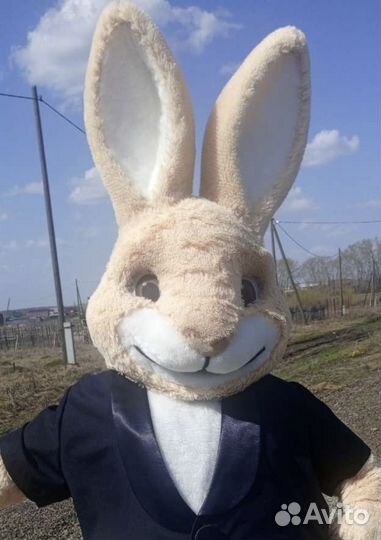 Поздравление,Кролик Робик,аниматор, ростовая кукла