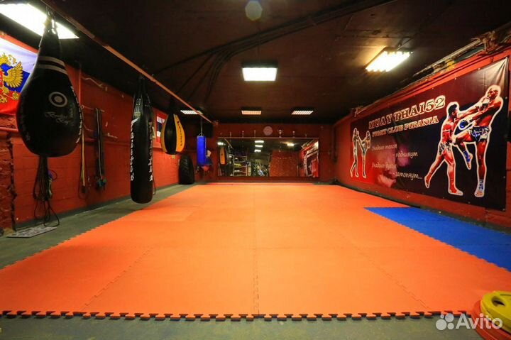 Будо маты ласточкин хвост