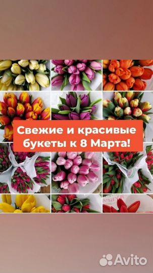 Тюльпаны к 8 марта