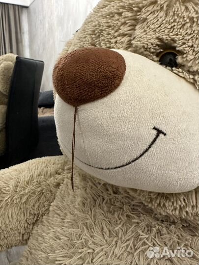 Большой плюшевый медведь