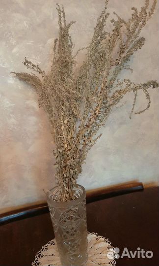 Цветы сухоцветы