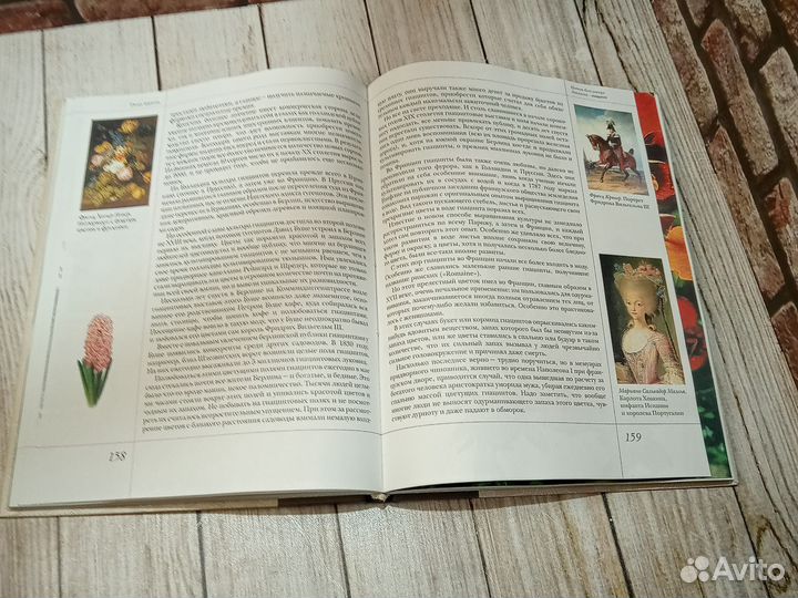 Цветы в легендах и преданиях. Золотницкий