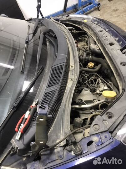 Renault scenic 2 жабо