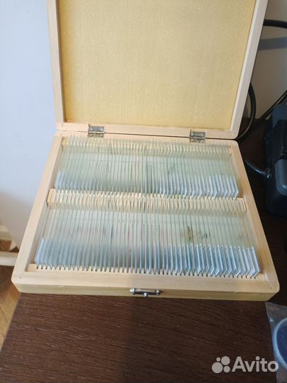 Микроскоп levenhuk бинокулярный