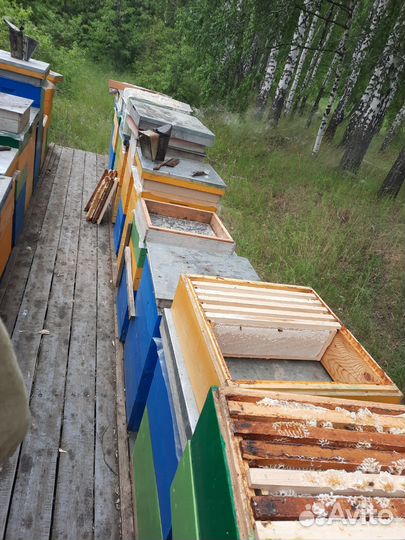 Мёд из деревни