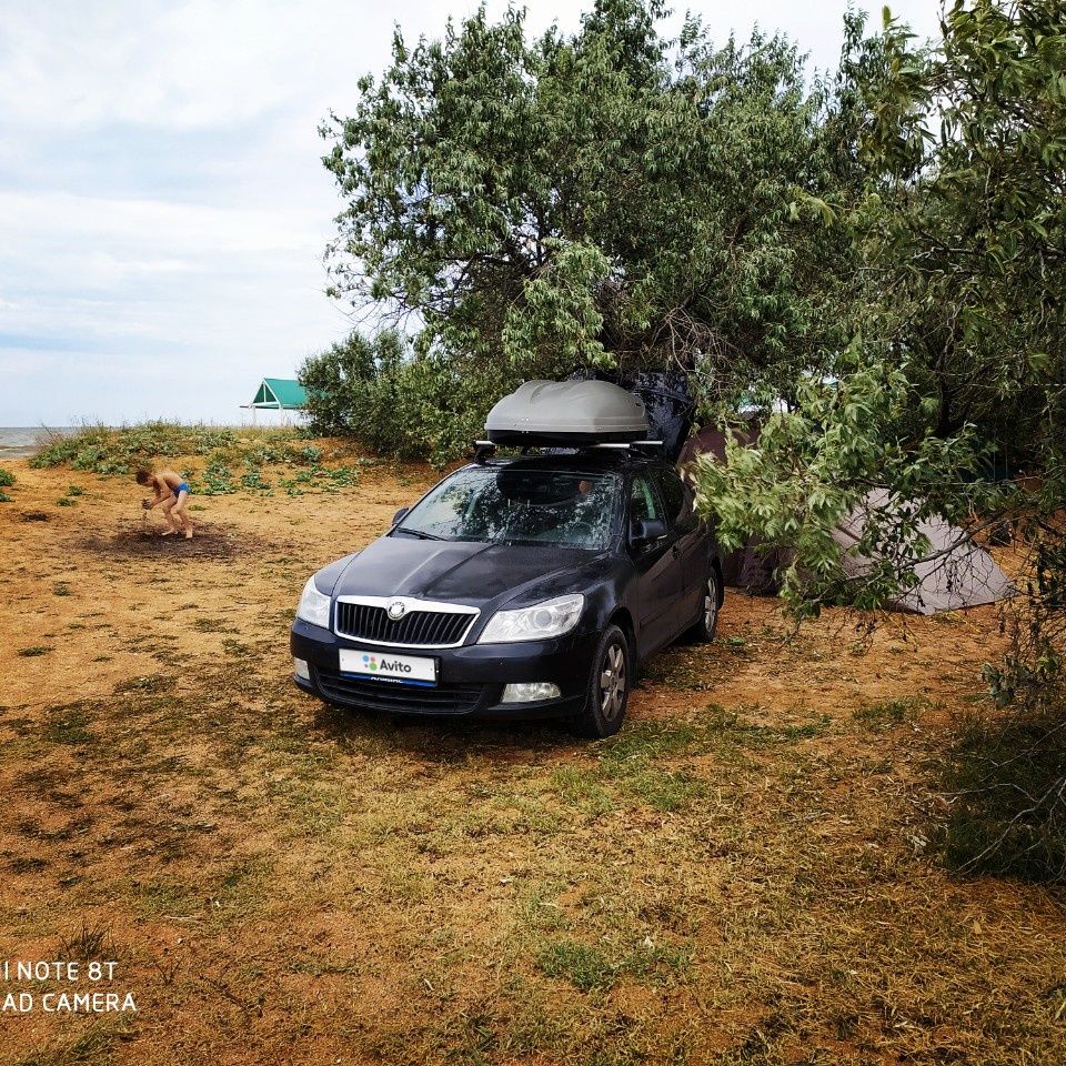 Skoda Octavia: фото владельца