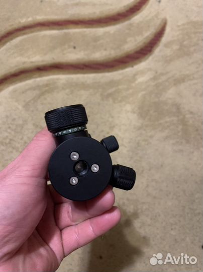 Шаровая фото голова