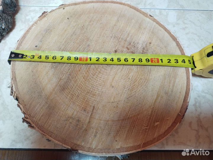 Спилы березовые