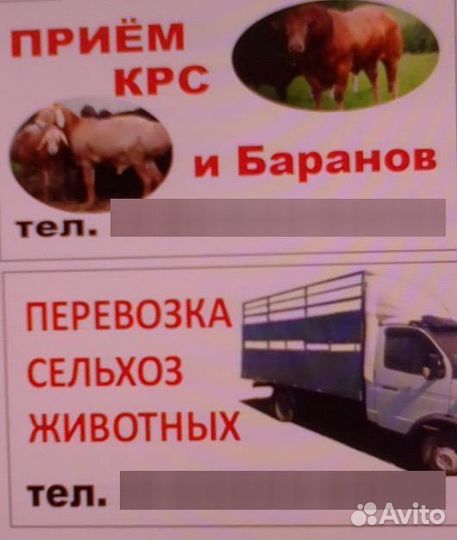 Перевозка и закупка крс