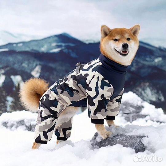 Собд38. Дождевик для собак (спинка 30см)