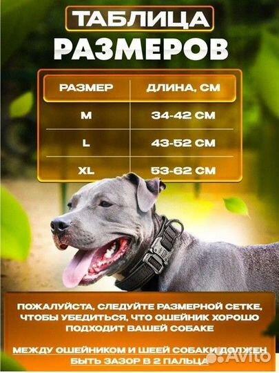 Ошейник для собак