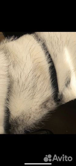 Шуба 42 размер