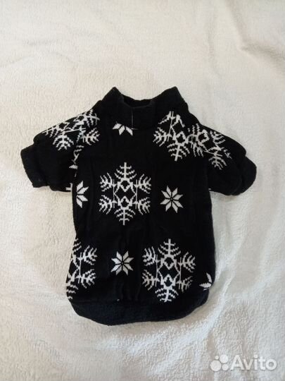 Одежда для маленьких собак