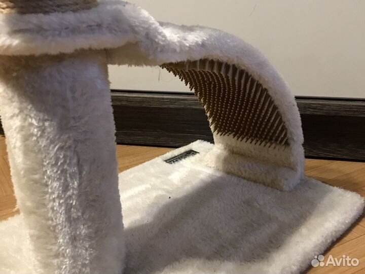 Когтеточка для котят