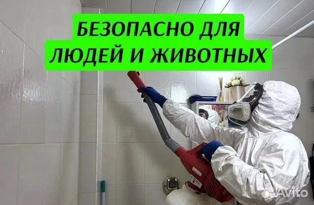 Уничтожение клопов. Дезинфекция тараканов. Травля