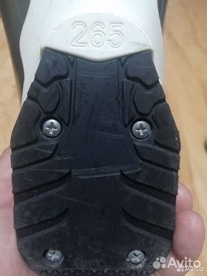 Горнолыжные ботинки dalbello