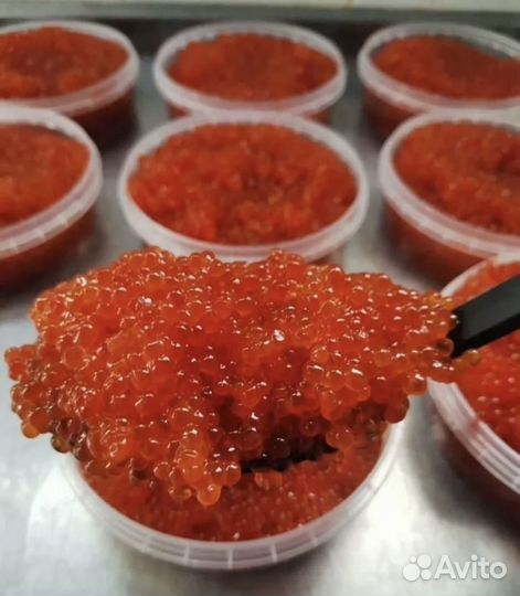 Икра горбуши