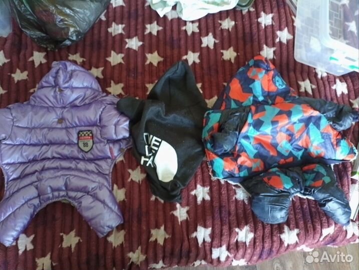 Вещи на маленькую собаку