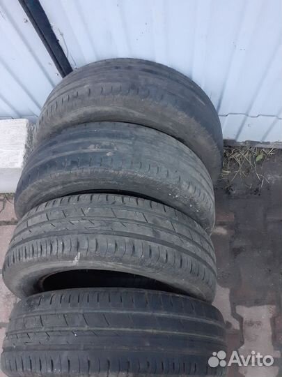 Accelera Gamma 4/5 R5