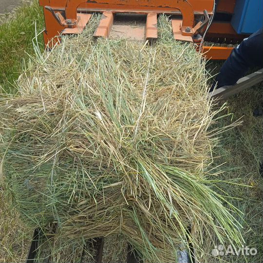 Сено солома в тюках