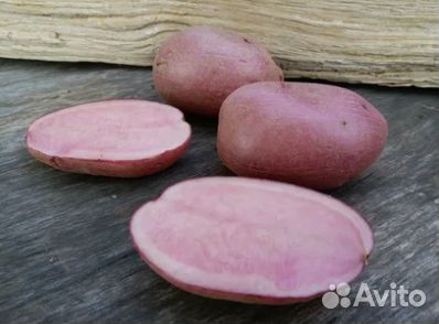 Картофель с фиолетовой и розовой мякотью