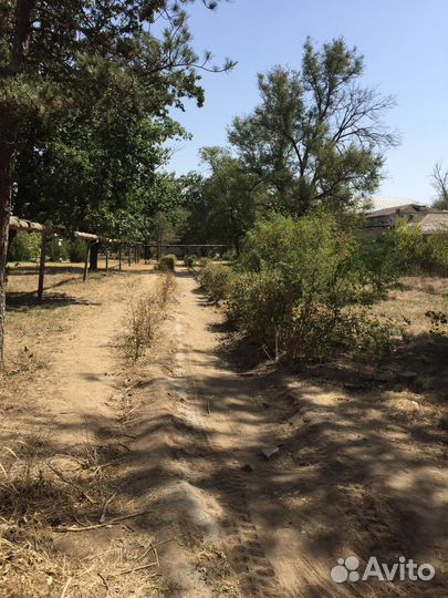 Услуги мини экскаватора