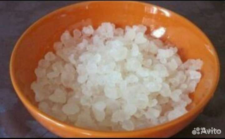 Индийский морской рис, чайный гриб