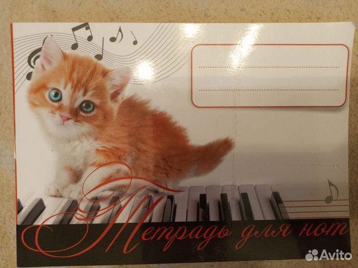 Гитара 6 струн