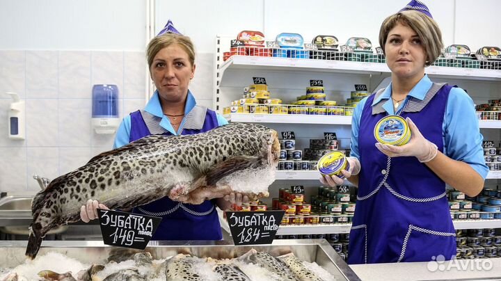 Продавец в рыбный магазин (от производителя)