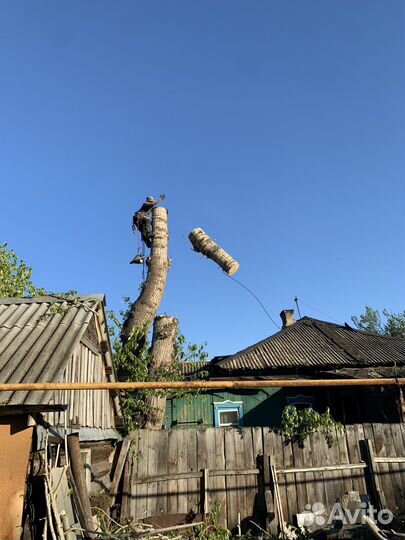 Спил деревьев, кронирование, корчевание, вывоз