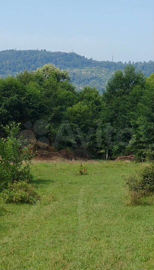 Участок 7,3 сот. (СНТ, ДНП)