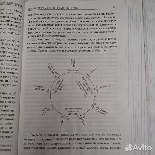 Р. Коллин. Теория вечной жизни