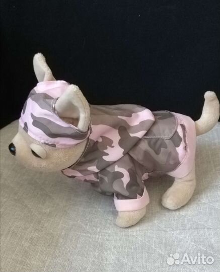 Собачка Chi Chi Love чичилав